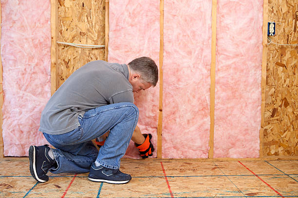 Best Cellulose Insulation  in Rupert, WV